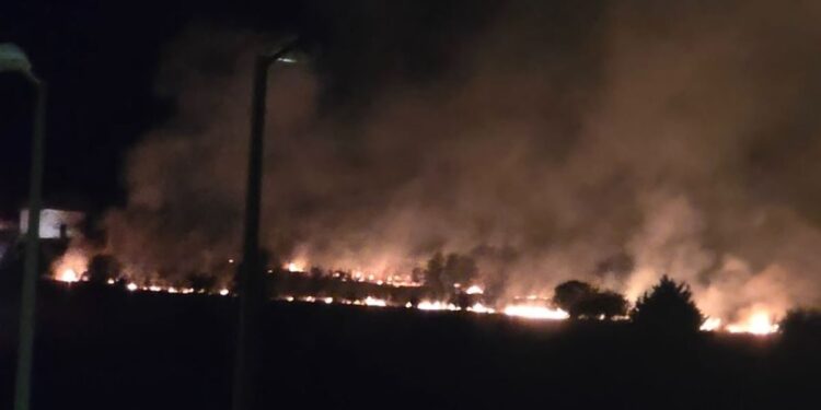 Φωτιά στη Λάρισα κοντά στο Νέο Κοιμητήριο και τις φυλακές – Κινητοποίηση της Πυροσβεστικής