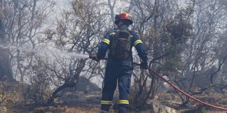 Λέσβος: 20χρονος κατηγορείται για εμπρησμό σε δάσος στην περιοχή Βρίσα – Οδηγείται στον εισαγγελέα