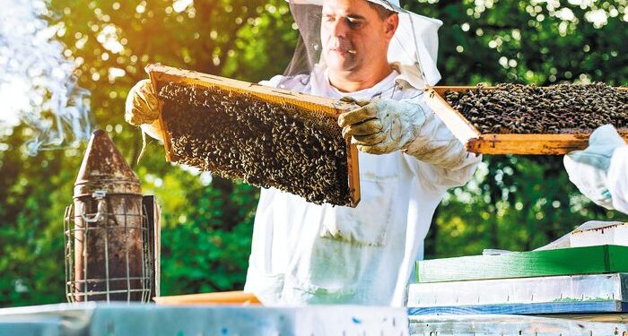 Κόκκαλης σε Κέλλα: «Αδικία και εμπαιγμός σε βάρος των μελισσοκόμων – Η κυβέρνηση έδωσε τα μισά από όσα υποσχέθηκε» (βίντεο)