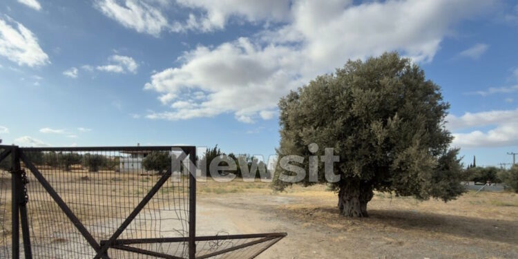 Μεταμόρφωση: Μαχαιρώθηκαν για ασήμαντη αφορμή – Μέσα στους 4 τραυματίες Κρητικός που προσπάθησε να τους χωρίσει