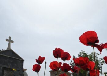 Εύβοια: Του άνοιξαν το κεφάλι με φτυάρι μέσα σε νεκροταφείο – Ελεύθεροι οι συλληφθέντες