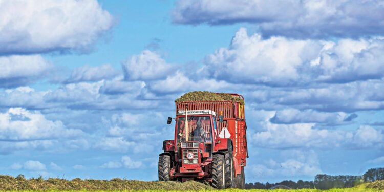 Παράταση έως τις 20 Οκτωβρίου για τις δηλώσεις ΑΤΑΚ στο ΟΣΔΕ 2025