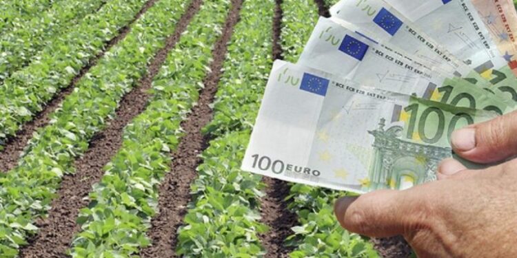 Θ. Κοντογεώργης: «Είμαστε στο τελικό στάδιο των επιδοτήσεων με την Ευρωπαϊκή Επιτροπή»