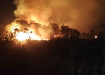 Υπό έλεγχο η πυρκαγιά στο Σκάλωμα Αγρινίου – Σε επιφυλακή η Πυροσβεστική για τυχόν αναζωπυρώσεις (φωτο)