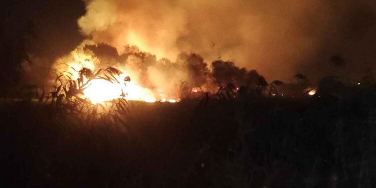 Υπό έλεγχο η πυρκαγιά στο Σκάλωμα Αγρινίου – Σε επιφυλακή η Πυροσβεστική για τυχόν αναζωπυρώσεις (φωτο)