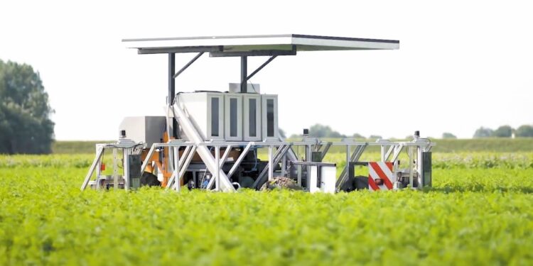 Γερμανία: Ρομπότ με λέιζερ στην καλλιέργεια βιολογικού καρότου μειώνει το κόστος εργασίας