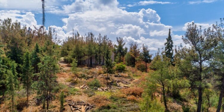 Σέιχ Σου: 51χρονος έγδαρε και έσφαξε αρνί για να τιμήσει το κουρμπάνι