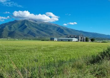 Σε αναμονή των προσωρινών πινάκων για το Μέτρο 23