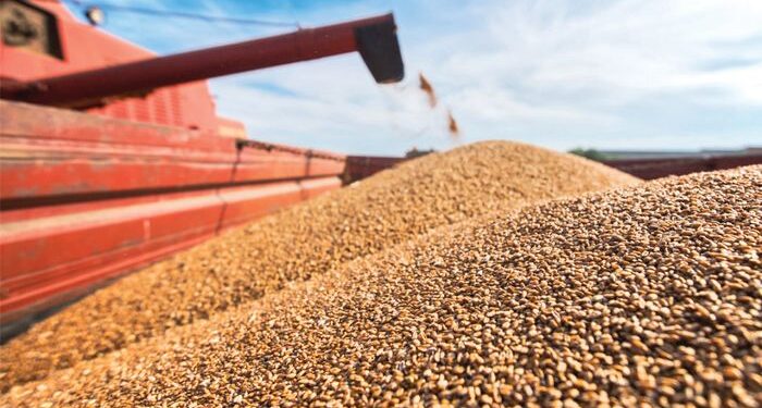 EU Short-term outlook – καλοκαίρι 2025: Ανάκαμψη της παραγωγής σιτηρών στην ΕΕ «βλέπει» η Κομισιόν