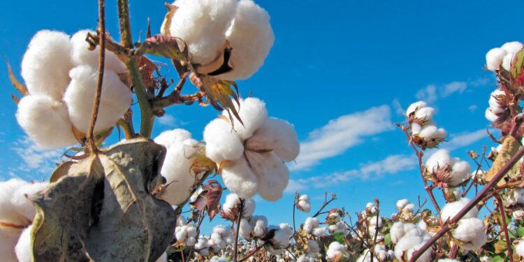 Τη Δευτέρα 8/9 οι προσωρινοί πίνακες για το Μέτρο 23