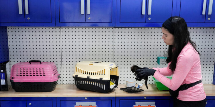 Τσιάρας: Αναγνώριση του έργου των κτηνιάτρων των Περιφερειών με επίδομα επικίνδυνης και ανθυγιεινής εργασίας