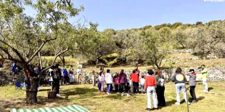 Ομάδα εθελοντών ξαναδίνει ζωή σε ακαλλιέργητα χωράφια