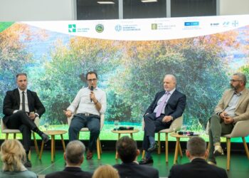 Ολοκληρώθηκε το πρόγραμμα «Ανοιχτή Ακαδημία Ελαιοκομίας στη Μεσσηνία» (βίντεο)
