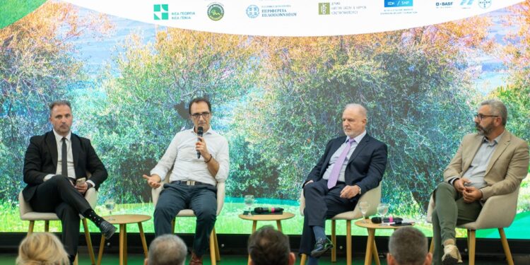 Ολοκληρώθηκε το πρόγραμμα «Ανοιχτή Ακαδημία Ελαιοκομίας στη Μεσσηνία» (βίντεο)