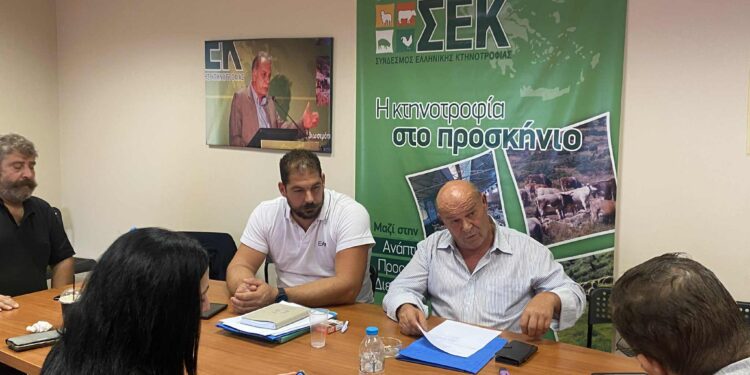 Σε κινητοποιήσεις προχωρούν οι κτηνοτρόφοι έως τις αρχές Νοεμβρίου