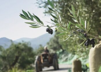 Μεσολόγγι: Ολοκληρώθηκε το συνέδριο «Διασύνδεση bio-παραγωγής, bio-μεταποίησης και bio-τουρισμού»