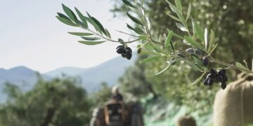 Μεσολόγγι: Ολοκληρώθηκε το συνέδριο «Διασύνδεση bio-παραγωγής, bio-μεταποίησης και bio-τουρισμού»