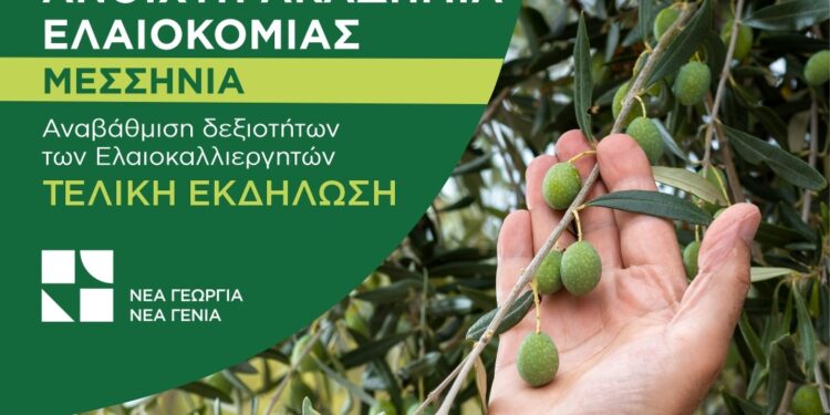 Εκδήλωση με θέμα «Ανοιχτή Ακαδημία Ελαιοκομίας – Μεσσηνία» στις 10/10 στην Καλαμάτα