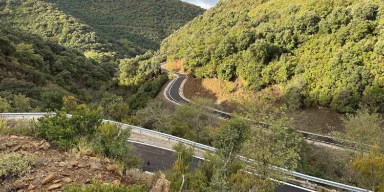 Ασφαλτοστρώθηκε αγροτικός δρόμος 4 χιλιομέτρων στην Πετρώνα Βάλτου Αμφιλοχίας (φωτο)