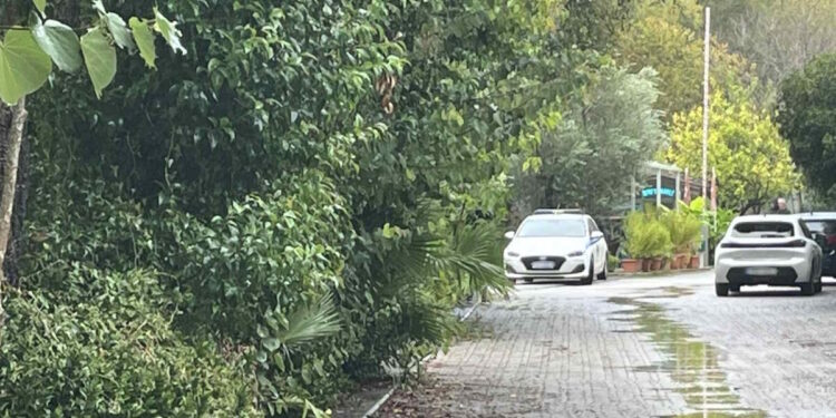 Φοινικούντα: Σε βοηθητικό ρόλο ο μυστήριος άνδρας που συνόδευε τον δολοφόνο του κάμπινγκ – Θέμα χρόνου οι συλλήψεις