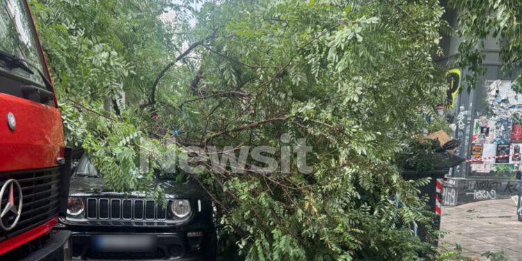 Δέντρο έπεσε απο την κακοκαιρία στην Εμμανουήλ Μπενάκη – Ένας ελαφρά τραυματίας