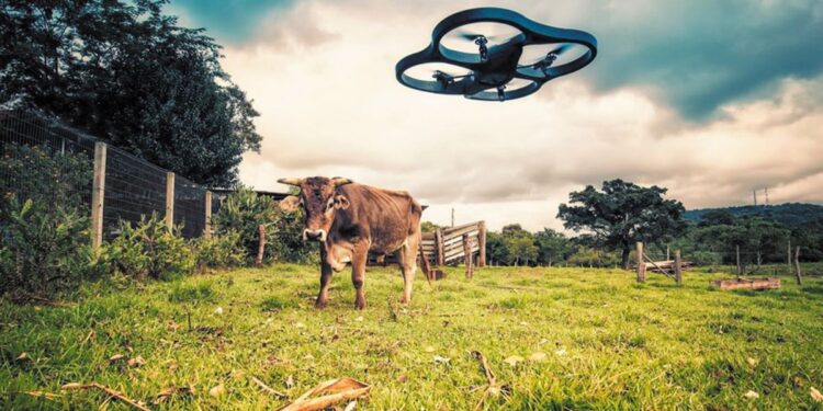 Κτηνοτροφία: Νέοι ορίζοντες για την παρακολούθηση, τη διαχείριση και την ασφάλεια των εκτροφών μέσω drone