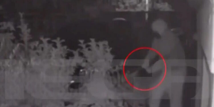 Δροσιά: Προφυλακιστέος ο 29χρονος για την απόπειρα δολοφονίας του 38χρονου – «Είμαι μετανιωμένος»