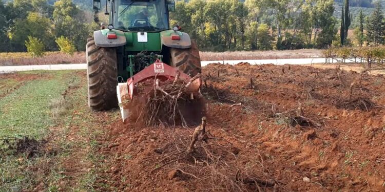 Πρόγραμμα εκρίζωσης αμπελιών ζήτησαν Γερμανία-Γαλλία – Άρνηση από Κομισιόν
