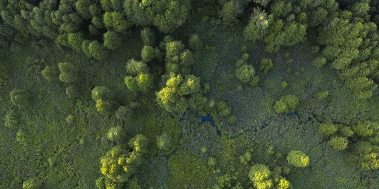 Επένδυση στη βιωσιμότητα και την ασφάλεια του Πεντελικού Όρους από την HELLENiQ ENERGY