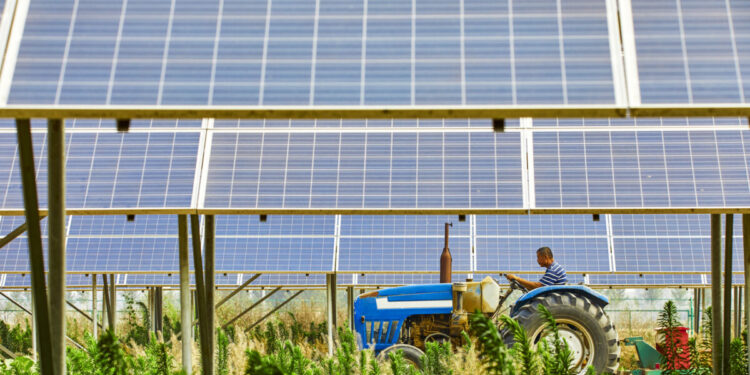 Ξεπαγώνουν πληρωμές 155 εκατ. ευρώ μέσω ΟΠΕΚΕΠΕ από Δευτέρα