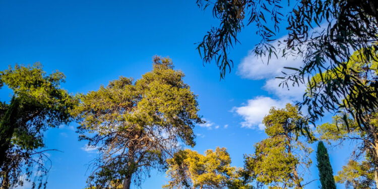 Καιρός: Καλοκαιρινό Σαββατοκύριακο με υψηλές θερμοκρασίες – Βροχερή η παρέλαση της 28ης Οκτωβρίου