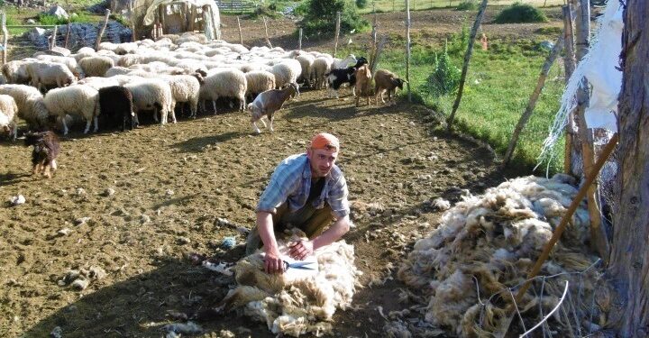 Πιθανό κρούσμα ευλογιάς στην Π.Ε. Κοζάνης – Σε συναγερμό οι αρχές