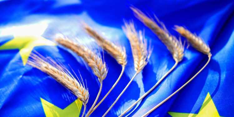 Η Κομισιόν προτείνει μέτρα για την ενίσχυση της προστασίας των αγροτών της ΕΕ στη συμφωνία ΕΕ-Mercosur