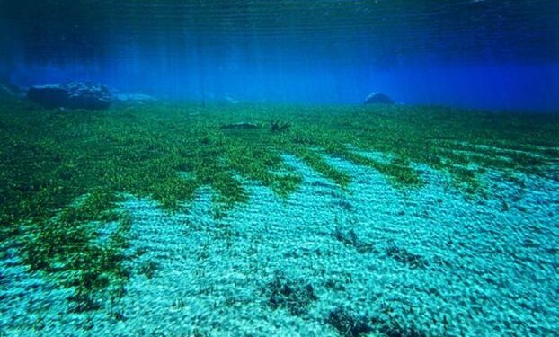 Παπασταύρου από Αμοργό: «Τα Εθνικά Θαλάσσια Πάρκα αφορούν στην προστασία του περιβάλλοντος και του πολιτισμού»