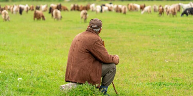 Βόλος: Βρέθηκε ζωντανός ο αγνοούμενος κτηνοτρόφος