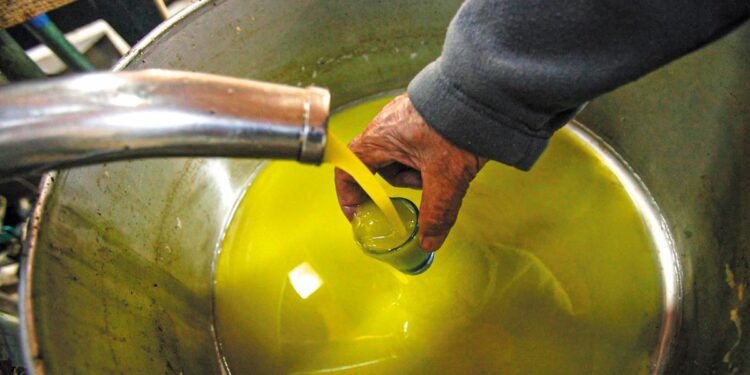 Ελαιόλαδο: Στα 4,5-5 ευρώ εκτιμώνται οι πρώτες πράξεις για τη νέα σοδειά του έξτρα παρθένου