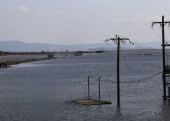 Αγρότες: Ακατάσχετες οι ενισχύσεις για ζωοτροφές και φερτά υλικά για Daniel – Στρατιωτικοί κτηνίατροι για την προστασία του ζωικού κεφαλαίου