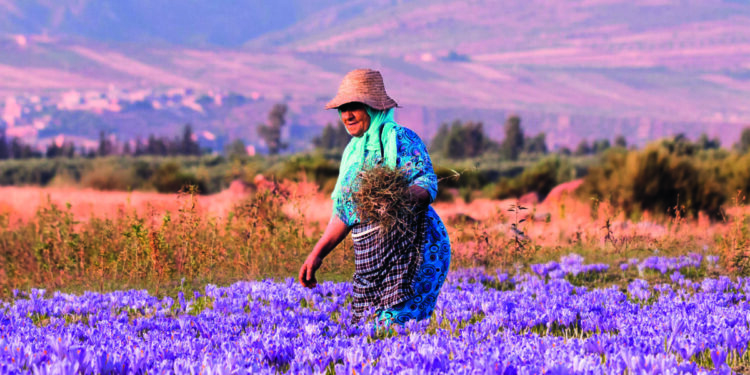 Η L’Oréal ανοίγει τον δρόμο για την «υπεύθυνη» ομορφιά του αύριο