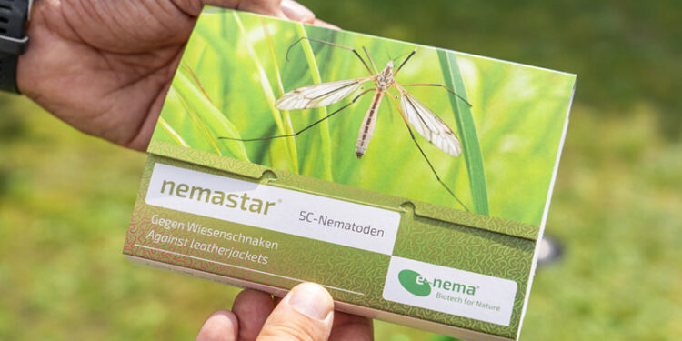 Andermatt Anthesis και e-nema δίνουν στοχευμένη λύση με εντομοπαθογόνους νηματώδεις, για αντιμετώπιση ξυλοφάγων εντόμων