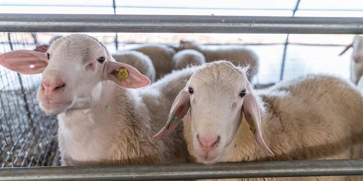 Όλα τα σημεία λειτουργίας Σταθμών Απολύμανσης στην Κεντρική Μακεδονία