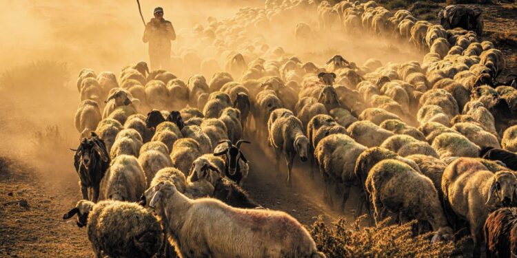 Πρώτο κρούσμα ευλογιάς στη Δράμα