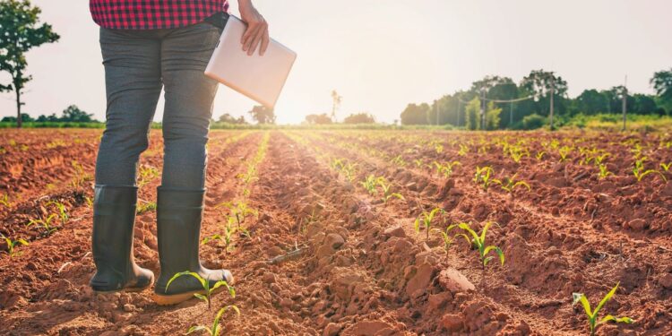 «Θρίλερ» με την τύχη 590 εκατ. ευρώ του παλιού ΠΑΑ