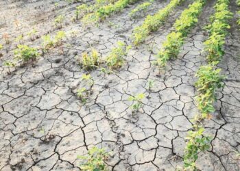 ΕΕ – Κλιματική Αλλαγή: Τα κράτη μέλη συμφώνησαν σε κοινή θέση ενόψει της επερχόμενης COP30 στη Βραζιλία