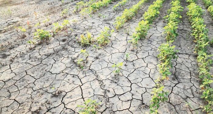 ΕΕ – Κλιματική Αλλαγή: Τα κράτη μέλη συμφώνησαν σε κοινή θέση ενόψει της επερχόμενης COP30 στη Βραζιλία