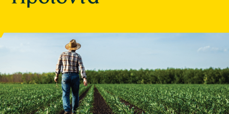 Δελτίο Πειραιώς Σεπτεμβρίου: Ενίσχυση στις τιμές αγροτικών προϊόντων εν μέσω θετικού κλίματος στις κεφαλαιαγορές