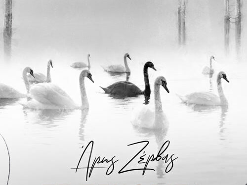 Άρης Ζέρβας – Σε ξεχώρισα