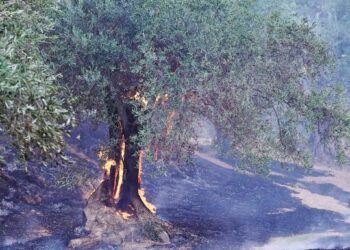 Αναστολή πράξεων αναγκαστικής εκτέλεσης για πληγέντες από τις πυρκαγιές του καλοκαιριού 2025