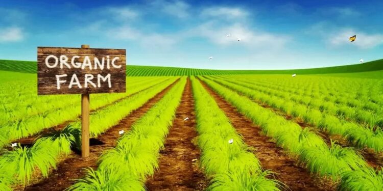 Οι βιολογικές φάρμες κατέγραψαν αύξηση άνω του 20% μέσα σε έναν χρόνο