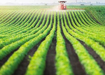 Τι θα γίνει με τα αγροτεμάχια χωρίς ΚΑΕΚ;