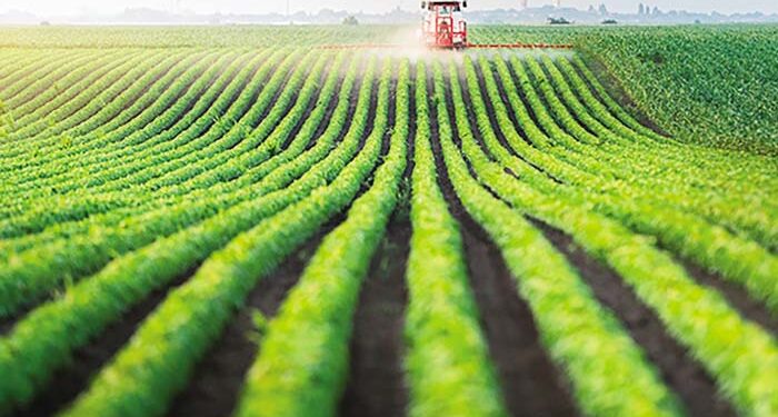 Τι θα γίνει με τα αγροτεμάχια χωρίς ΚΑΕΚ;